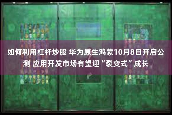 如何利用杠杆炒股 华为原生鸿蒙10月8日开启公测 应用开发市场有望迎“裂变式”成长