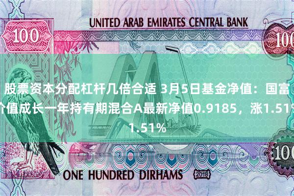 股票资本分配杠杆几倍合适 3月5日基金净值：国富价值成长一年持有期混合A最新净值0.9185，涨1.51%