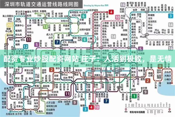 配资专业炒股配资网站 庄子：人活到极致，是无情