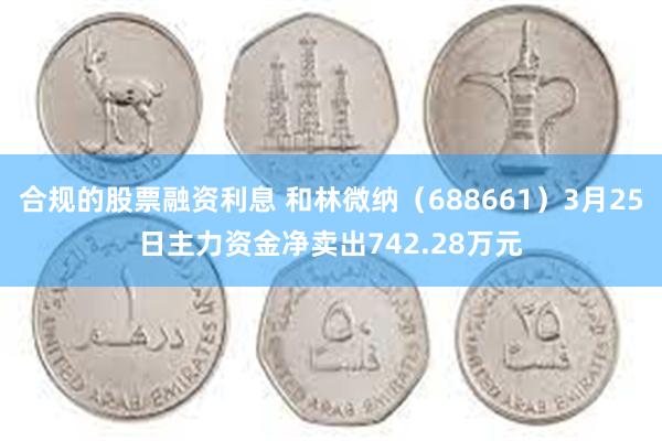 合规的股票融资利息 和林微纳（688661）3月25日主力资金净卖出742.28万元