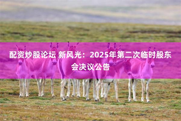 配资炒股论坛 新风光：2025年第二次临时股东会决议公告
