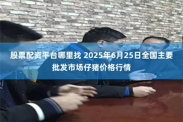 股票配资平台哪里找 2025年6月25日全国主要批发市场仔猪价格行情